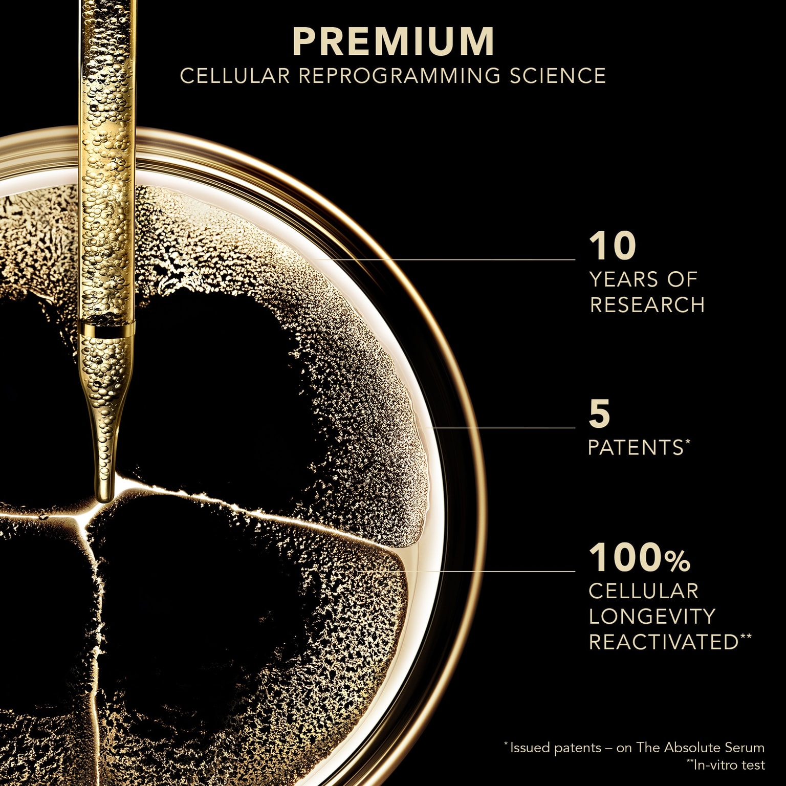 Premium Het Absolute Masker