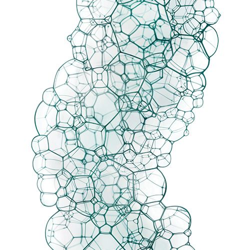 EEN HERBALANCEREND PREBIOTISCH COMPLEX
